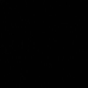 Meet your Posher, Alize